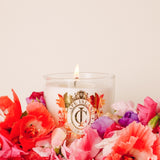 Wild Coast Signature Candle